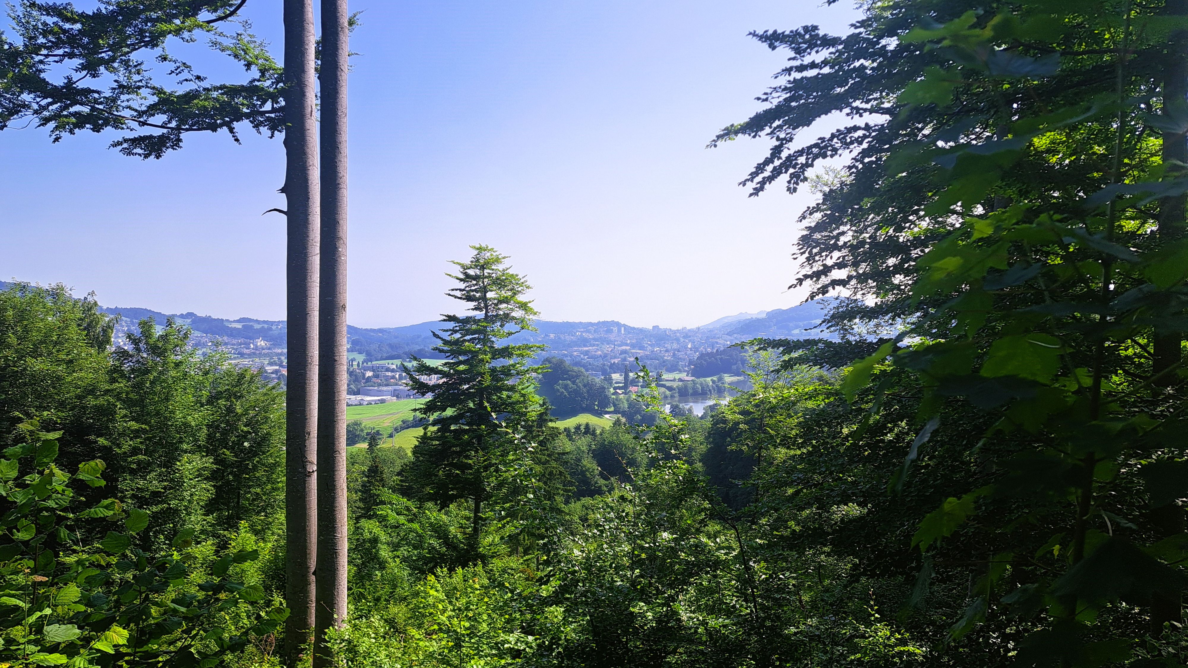 Ein Blick auf die Stadt St. Gallen
