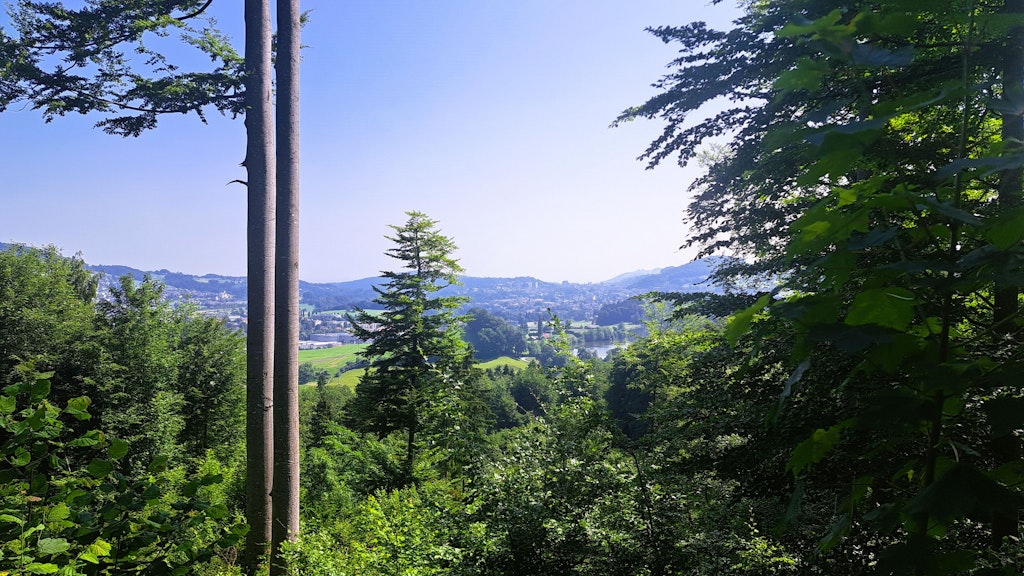 Ein Blick auf die Stadt St. Gallen