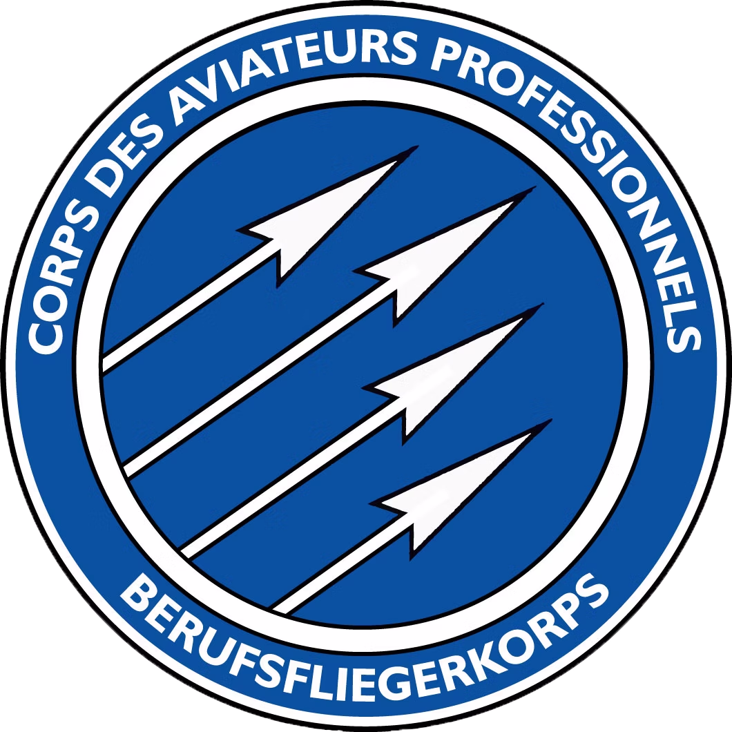 Berufsfliegerkorps
