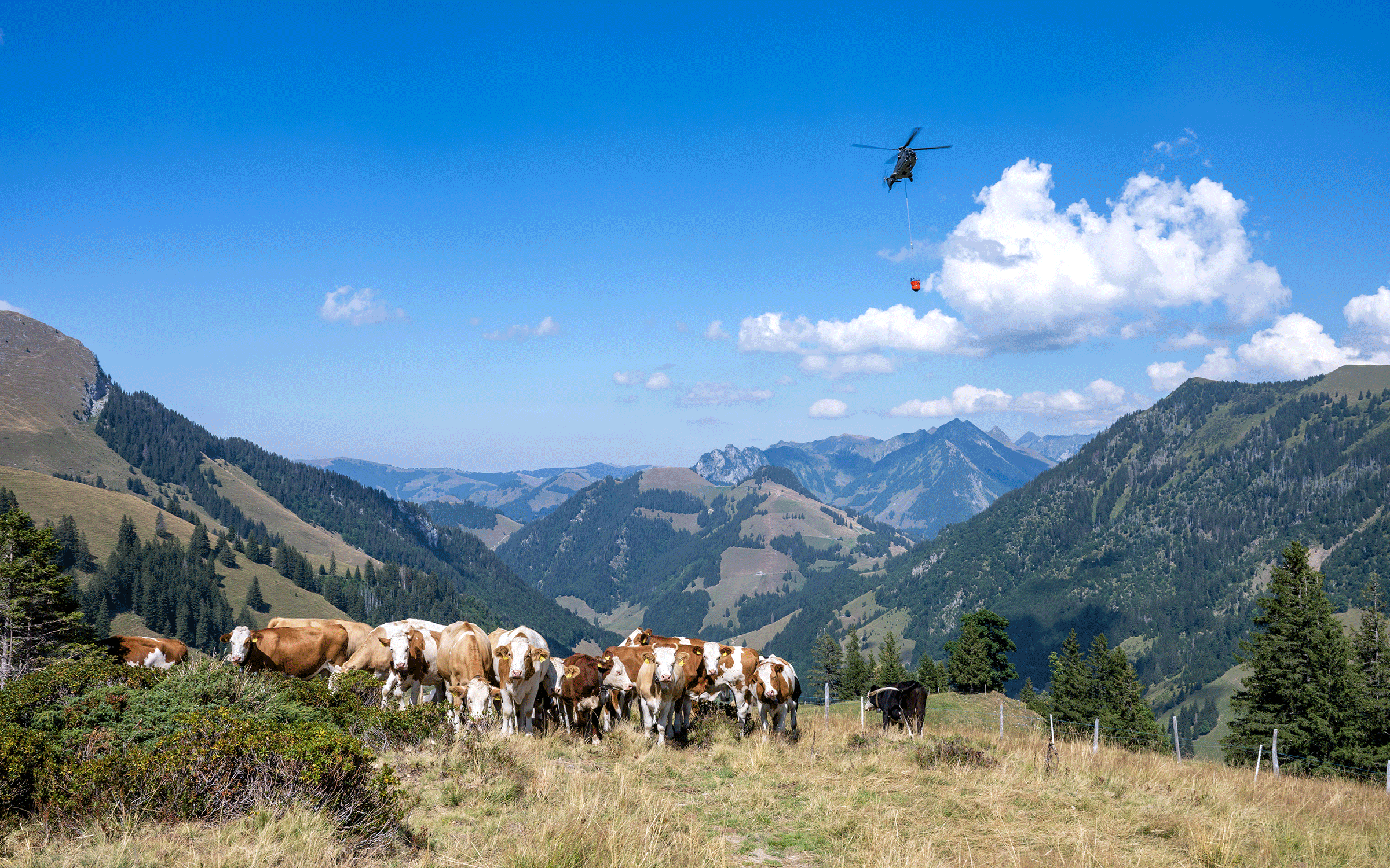 Wassertransport im Kanton Fribourg im August 2022. ©VBS/DDPS, Jonas Kambli