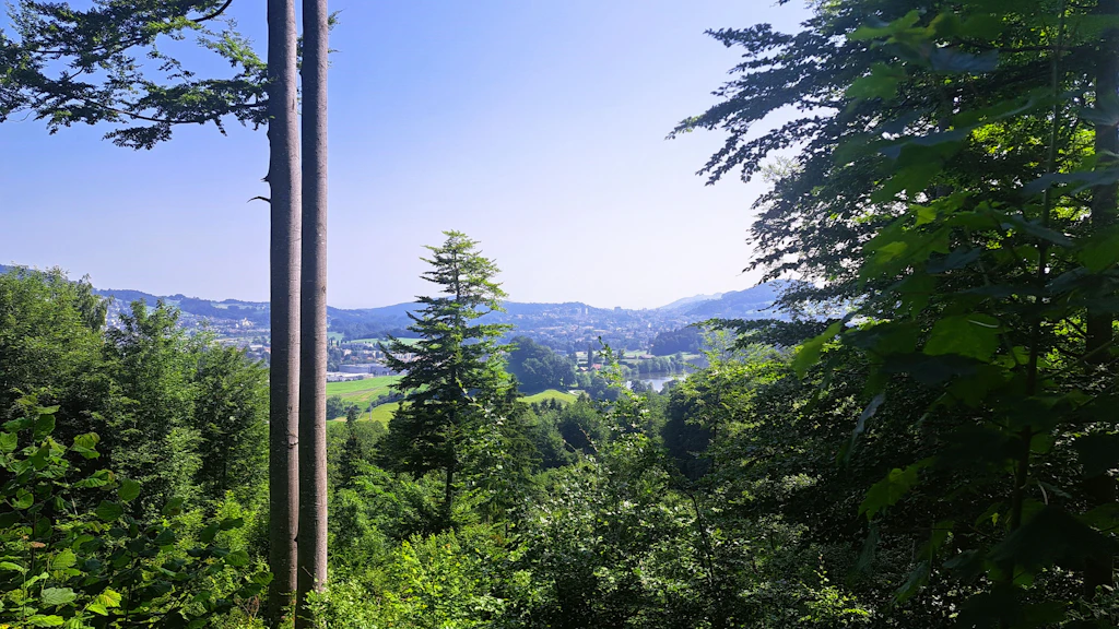 Ein Blick auf die Stadt St. Gallen