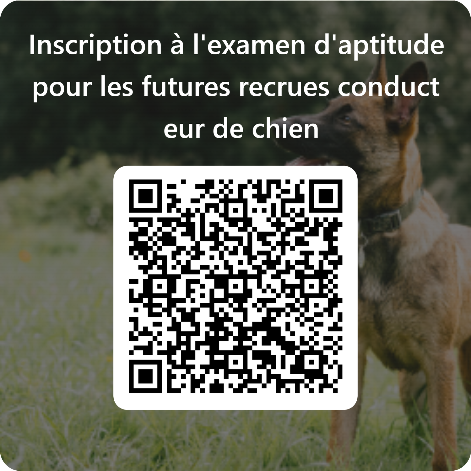 QR-Code Inscription à l'examen d'aptitude Futures recrues conducteur de chien