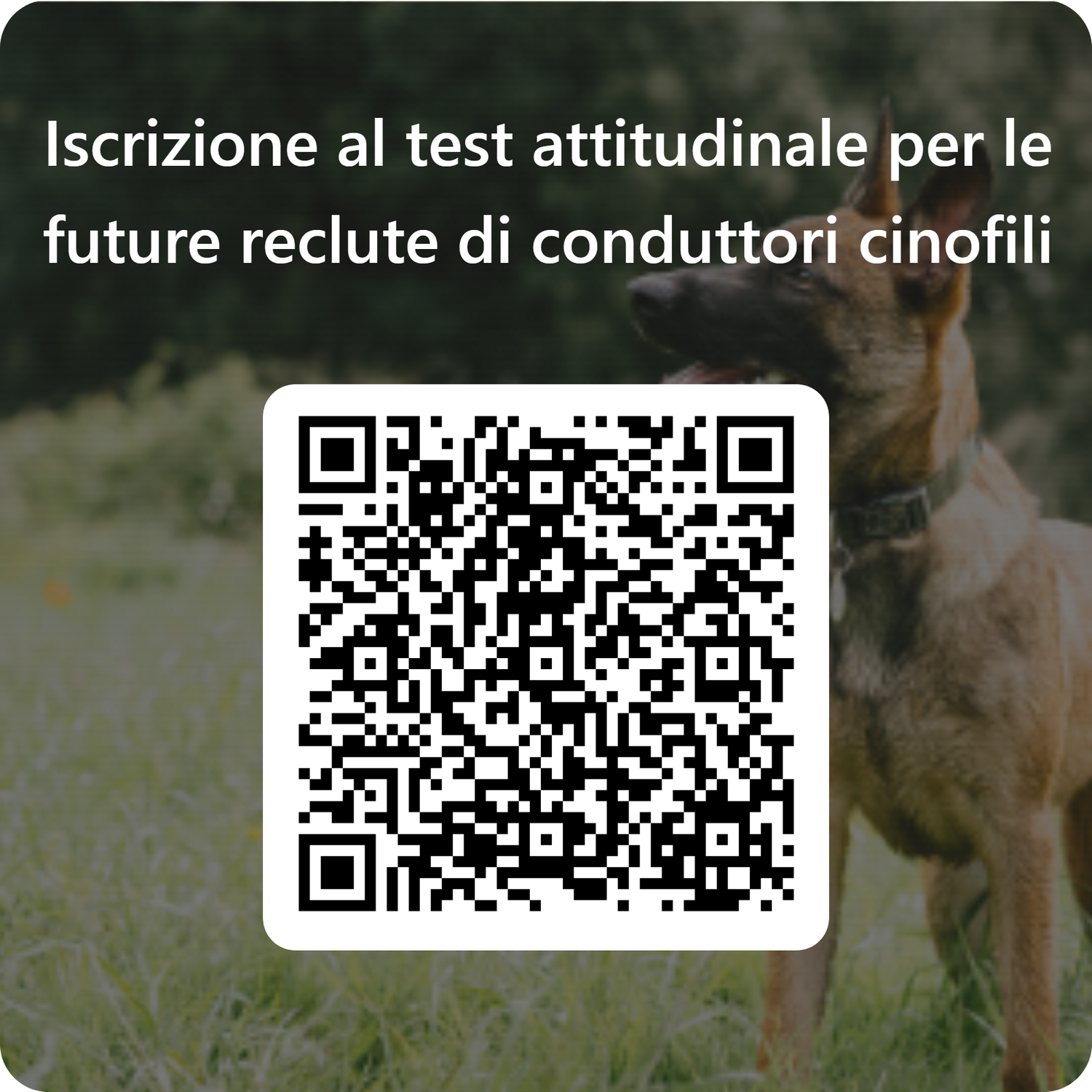 QR-Code Iscrizione al test attitudinale Future reclute di condtutori cinofili